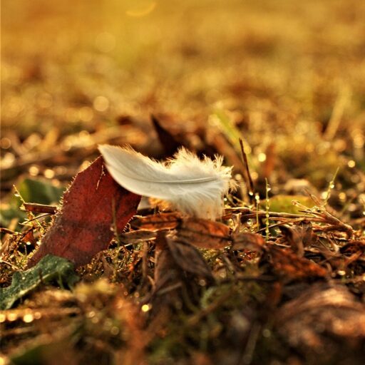 g219b7b0f6bafb8db128a8e4860bf20a37f9dff8083ecbe5ad70c1977c3a3214e644fa21d10cc2734f31402ce27ffdcff2b02d6a1b8da51a14c7e51a590f691c2 1280 7505010